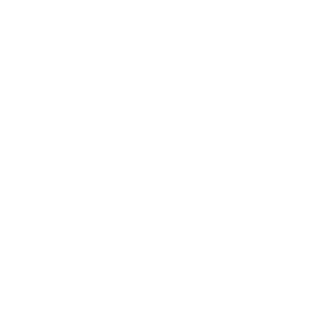 linkedin icon